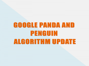 Read more about the article Google panda and penguin algorithm update.