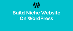 build-niche website on wordpress