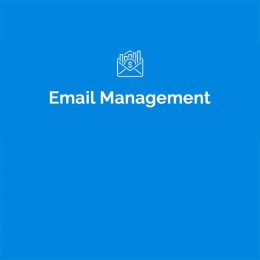 Niche Email Management